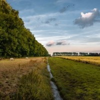 Ferienhaus Ausblick-Greetsiel - Umgebung