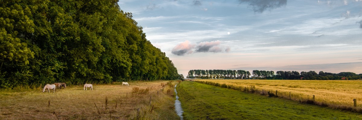 Ferienhaus Ausblick Greetsiel